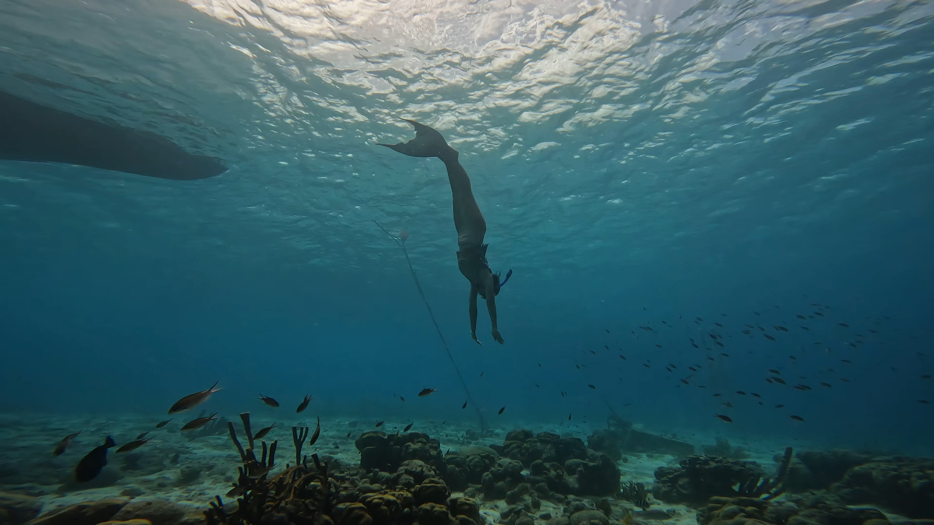 Programa PADI Mermaid