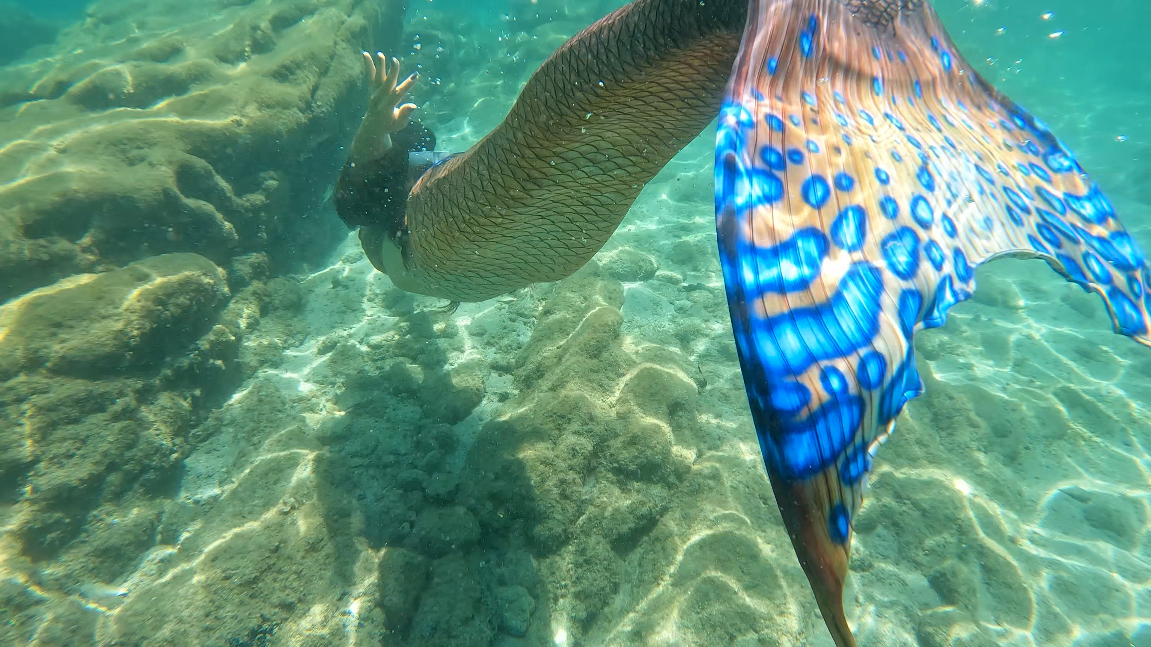 Programa PADI Mermaid