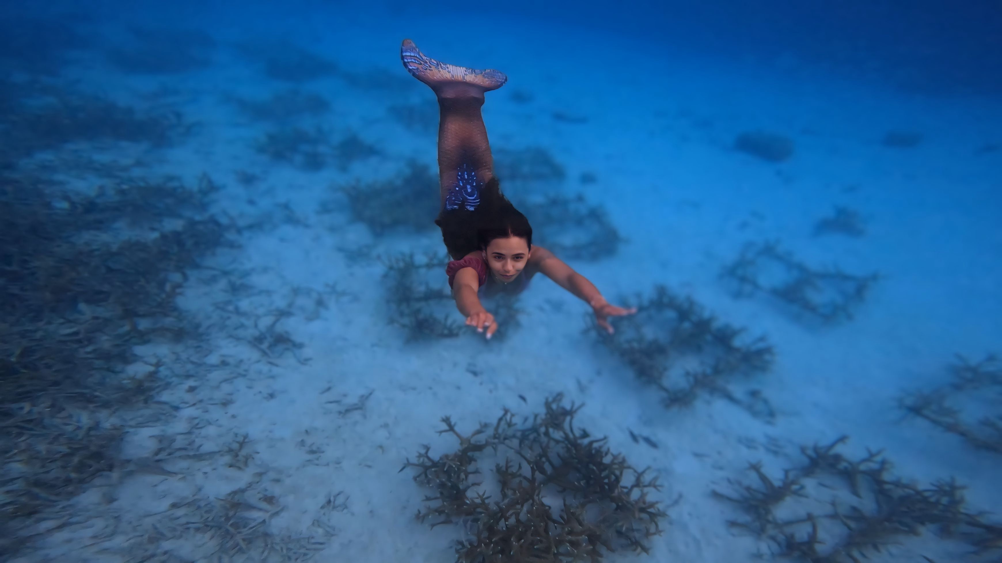 Programa PADI Mermaid