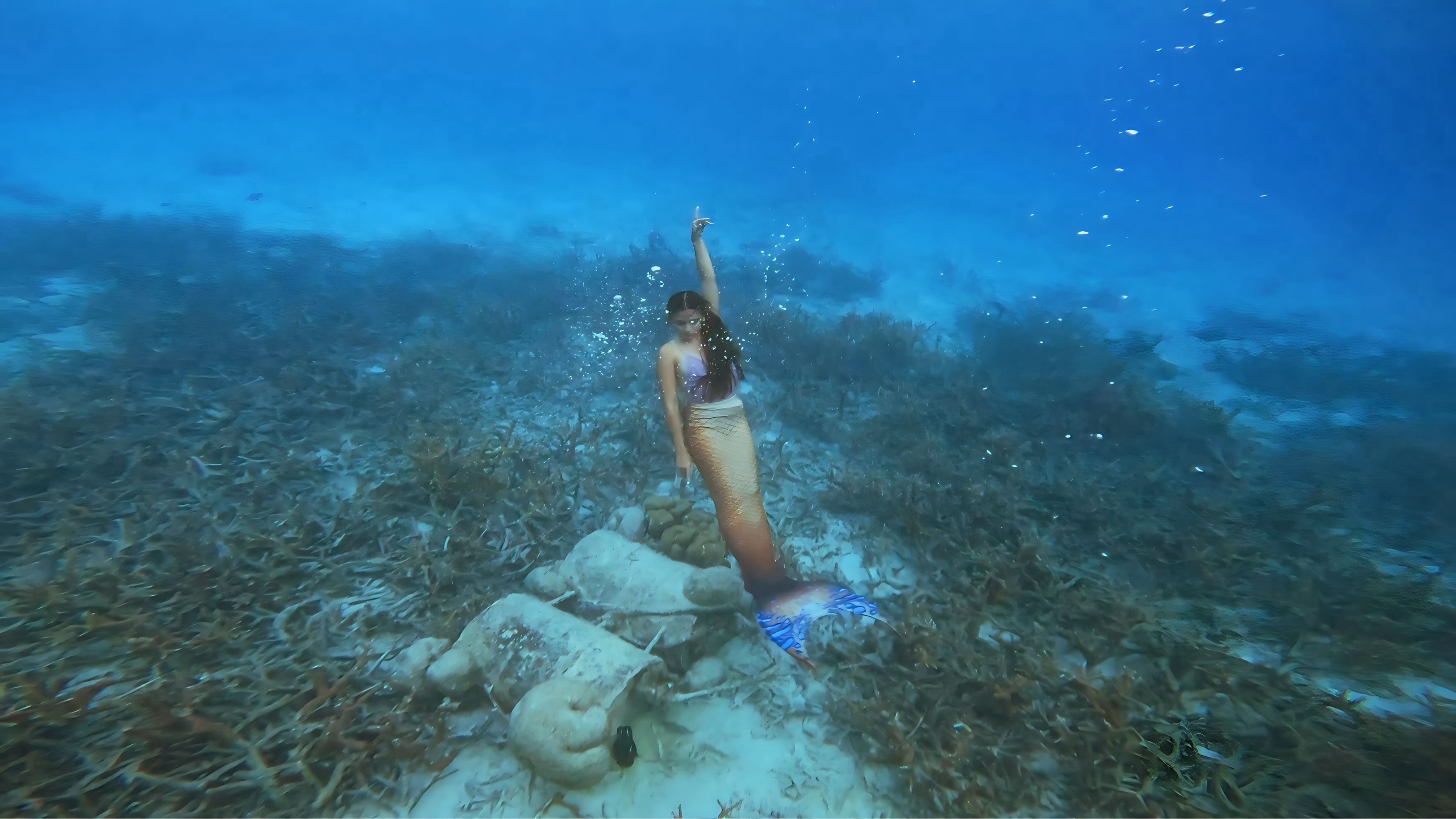 Programa PADI Mermaid