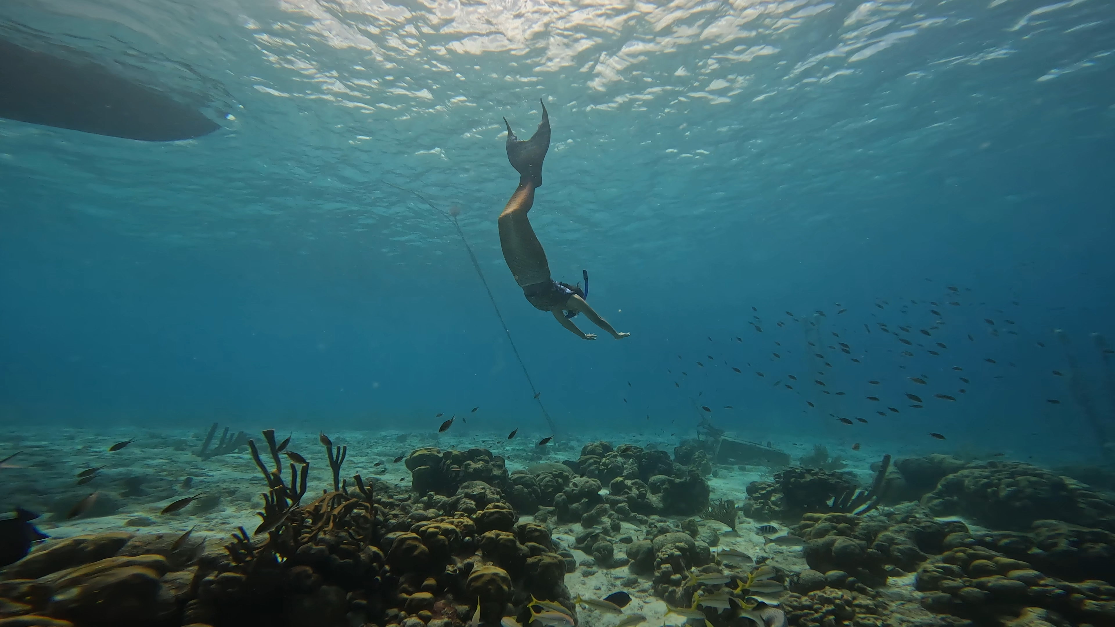 Programa PADI Mermaid